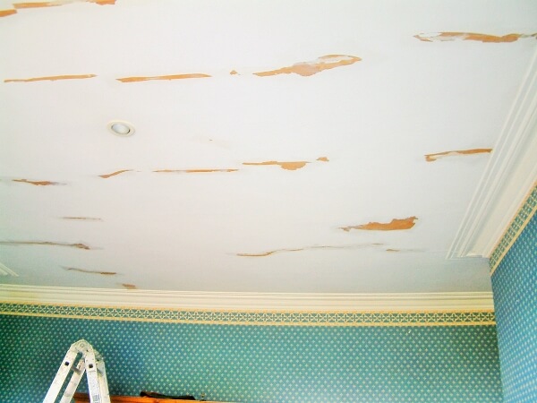 How to eliminate cracks in period house ceilings blog by Impressions Painting Decorating (2)